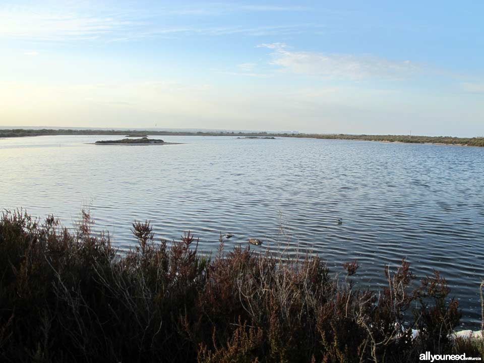 Regional Park  of the Salt Flats and Sand Areas of San Pedro del Pinatar