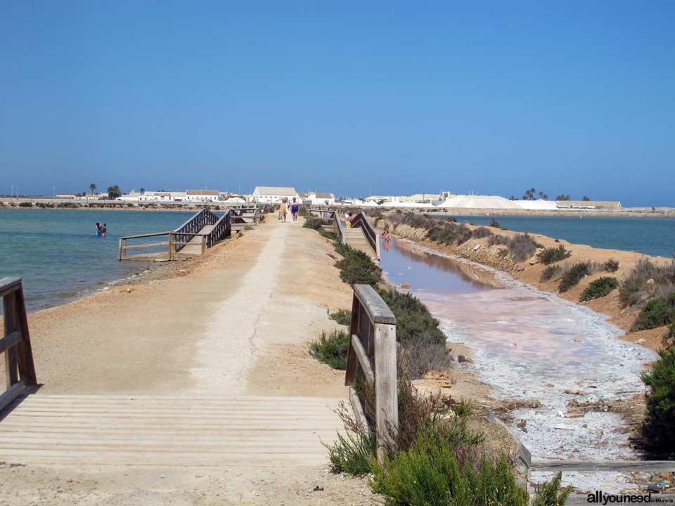 Regional Park  of the Salt Flats and Sand Areas of San Pedro del Pinatar