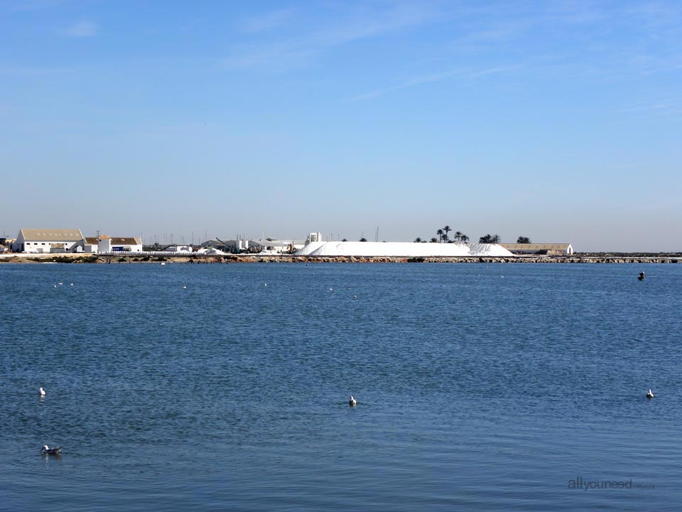 Regional Park  of the Salt Flats and Sand Areas of San Pedro del Pinatar