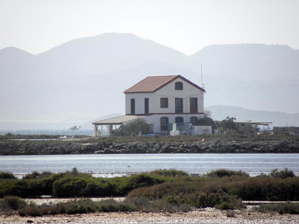 Regional Park  of the Salt Flats and Sand Areas of San Pedro del Pinatar