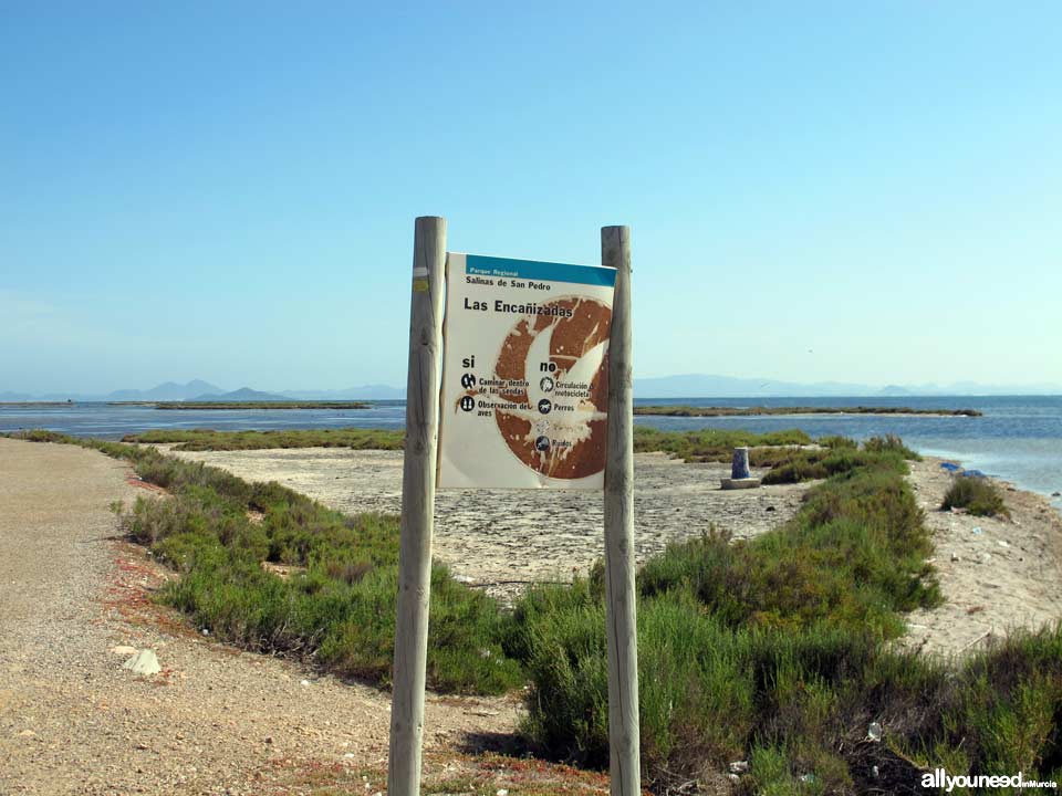 Las Encañizadas. Regional Park of the Salt Flats and Sand Areas of San Pedro del Pinatar