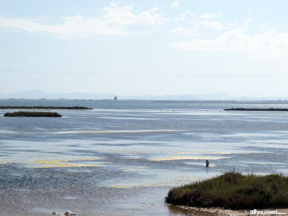 Las Encañizadas. Regional Park of the Salt Flats and Sand Areas of San Pedro del Pinata