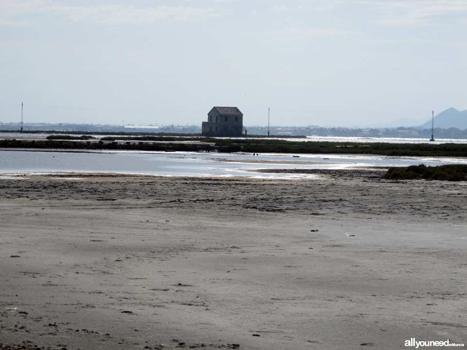 Las Encañizadas. Regional Park of the Salt Flats and Sand Areas of San Pedro del Pinata