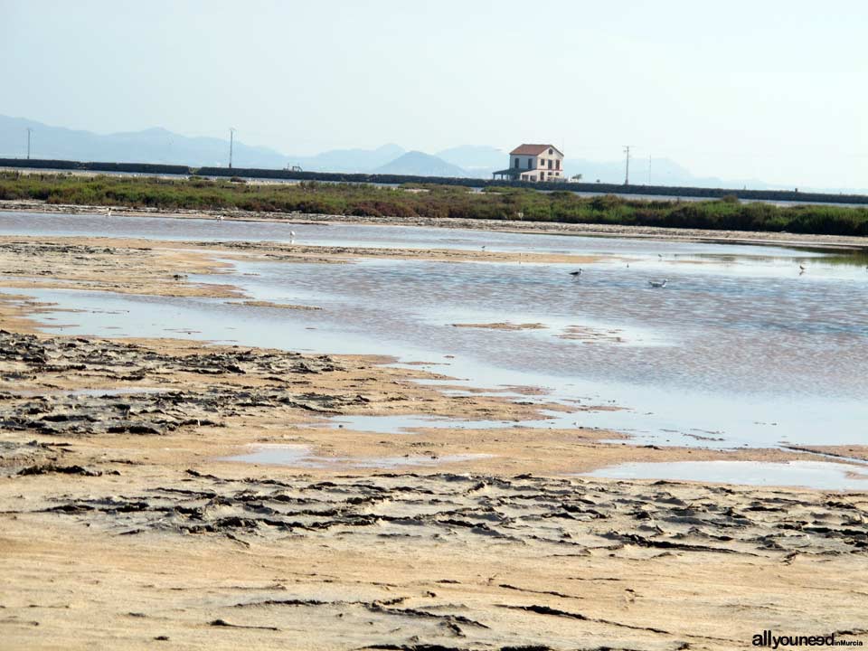 Las Encañizadas. Regional Park of the Salt Flats and Sand Areas of San Pedro del Pinata