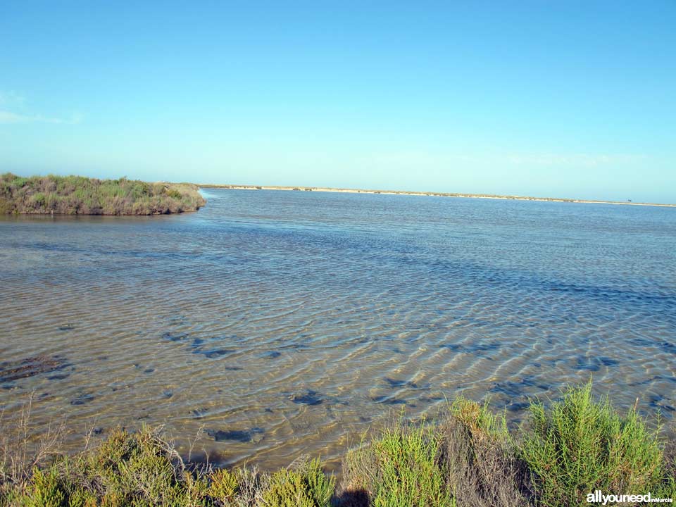Las Encañizadas. Regional Park of the Salt Flats and Sand Areas of San Pedro del Pinata