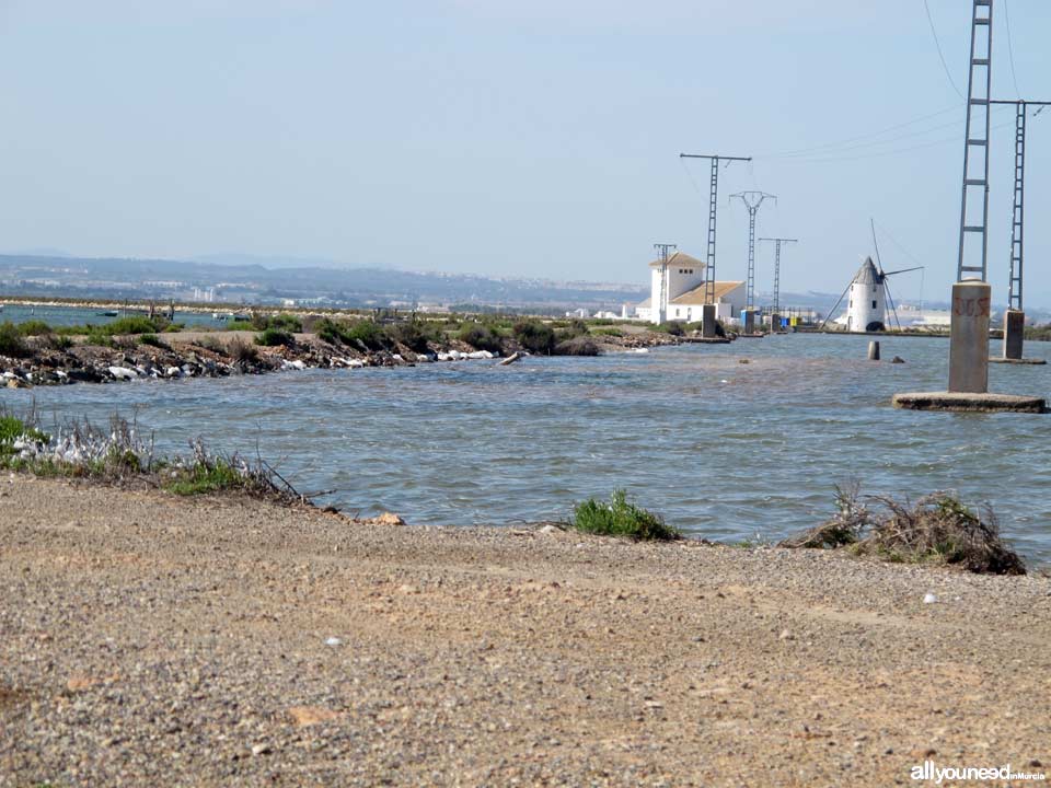 Las Encañizadas. Regional Park of the Salt Flats and Sand Areas of San Pedro del Pinata