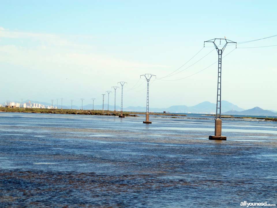 Las Encañizadas. Regional Park of the Salt Flats and Sand Areas of San Pedro del Pinata