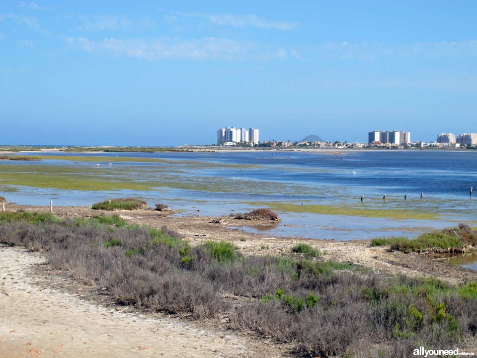 Las Encañizadas. Regional Park of the Salt Flats and Sand Areas of San Pedro del Pinata