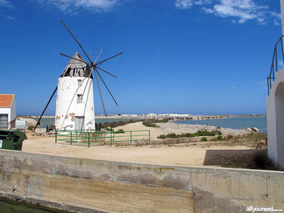 Playa de La Mota y Molino de Quintín. Playas de San Pedro del Pinatar