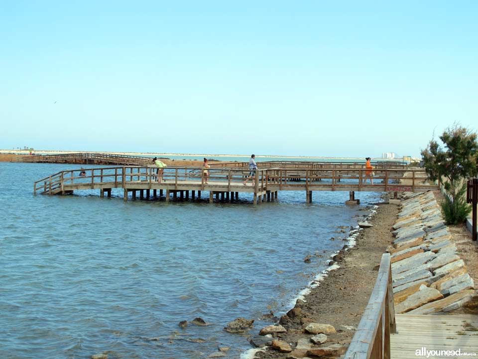 Playa de La Mota. Salinas y baños de lodo. Playas de San Pedro