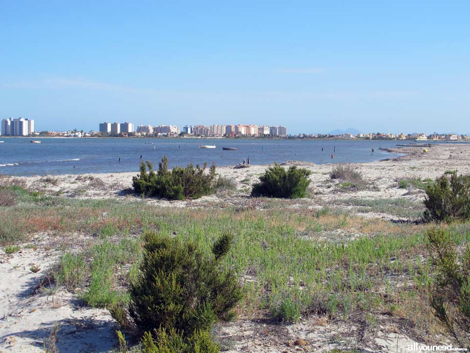 Playa de Punta de Algas en San Pedro del Pinatar