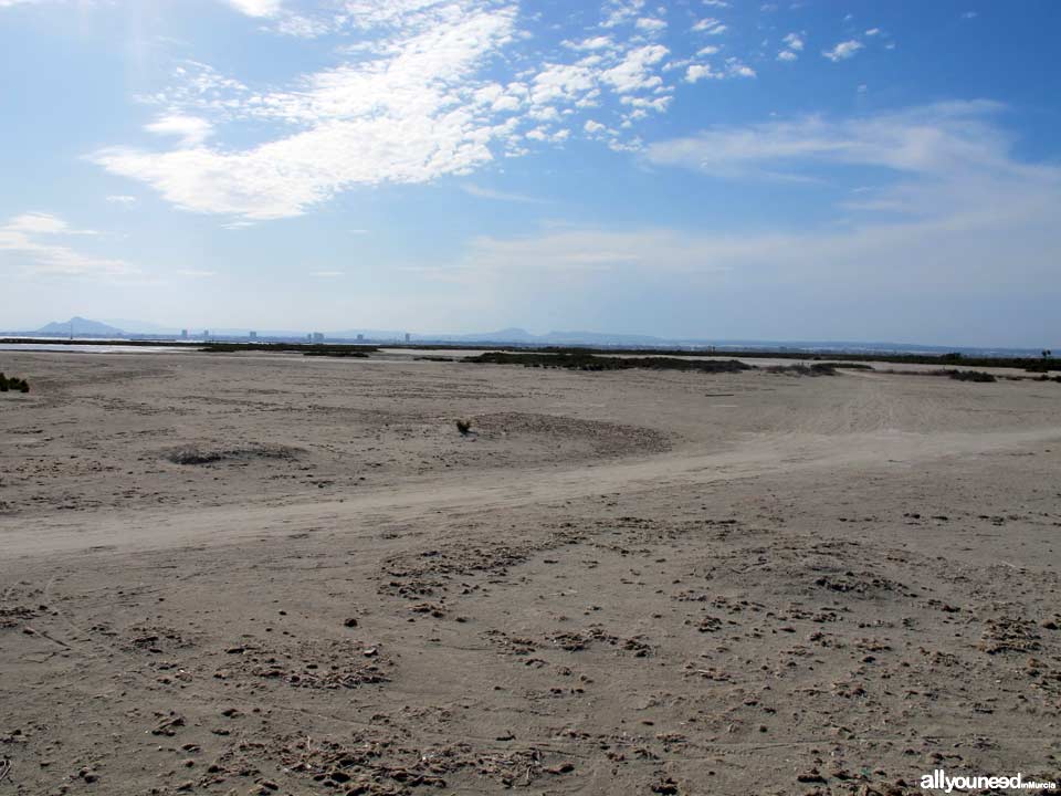Playa de Punta de Algas en San Pedro del Pinatar