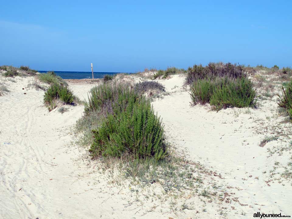 Punta de Algas Beach in San Pedro del Pinatar