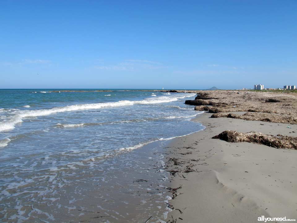 Playa de Punta de Algas en San Pedro del Pinatar