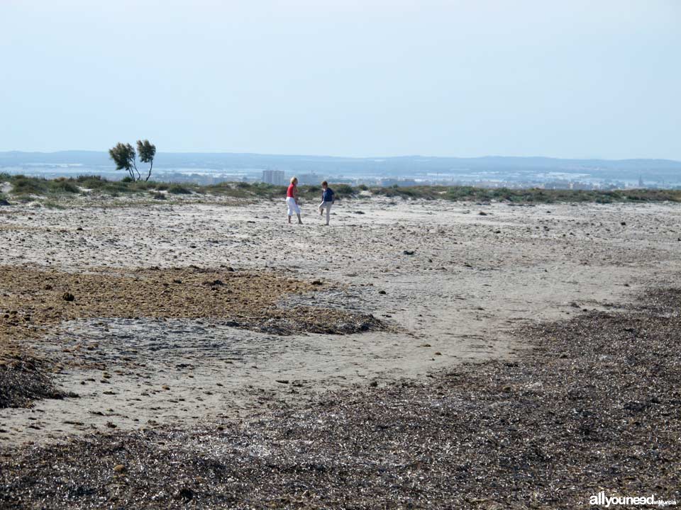 Playa de Punta de Algas en San Pedro del Pinatar