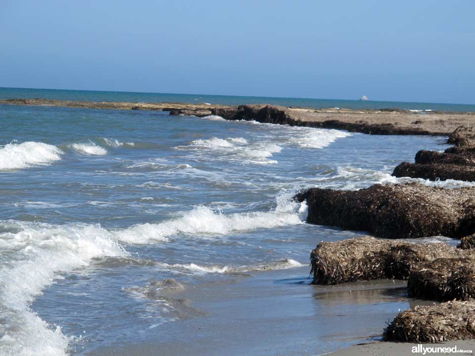 Punta de Algas Beach in San Pedro del Pinatar