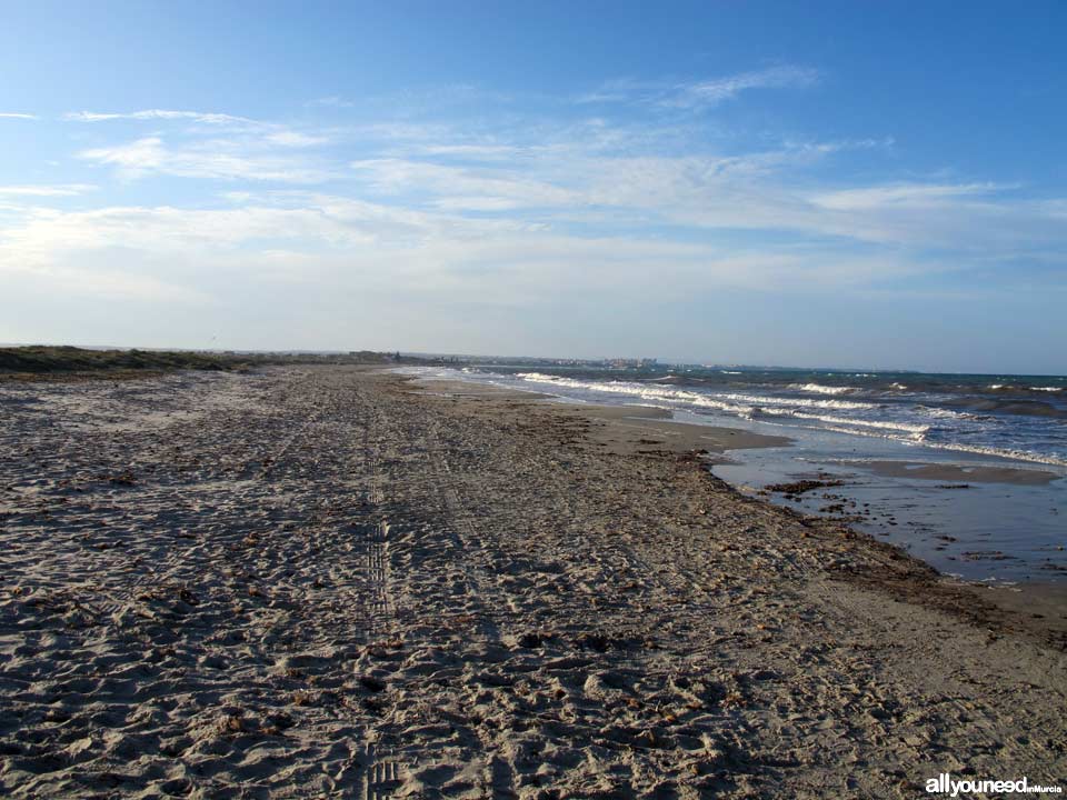 Playa de la Torre Derribada en San Pedro del Pinatar