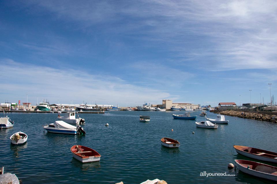 Puerto de San Pedro