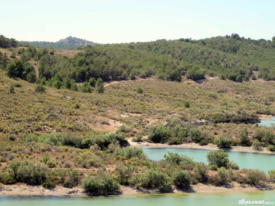 Embalse de Santomera