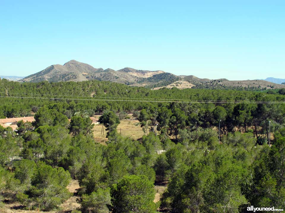 Embalse de Santomera