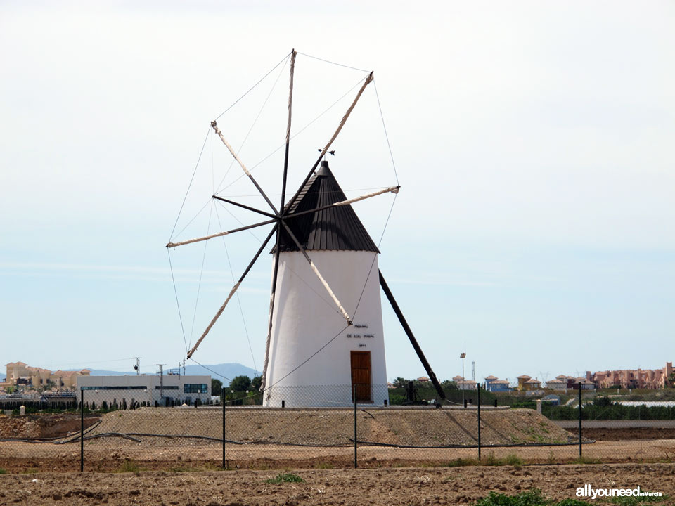 Torre Pacheco. Molino de los Pereas