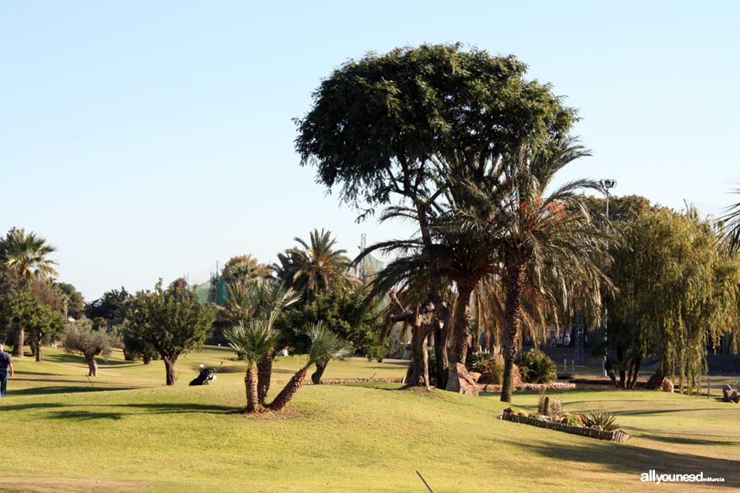 Club de Golf Torre Pacheco