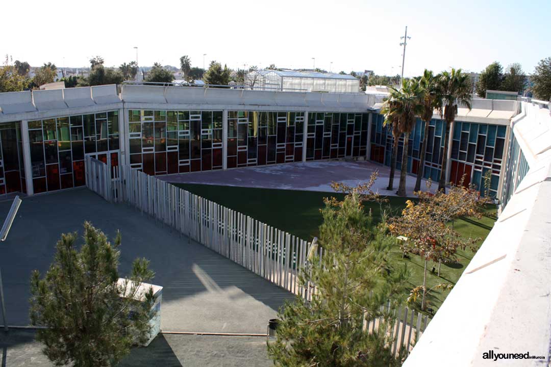 Municipal Torre Pacheco Library