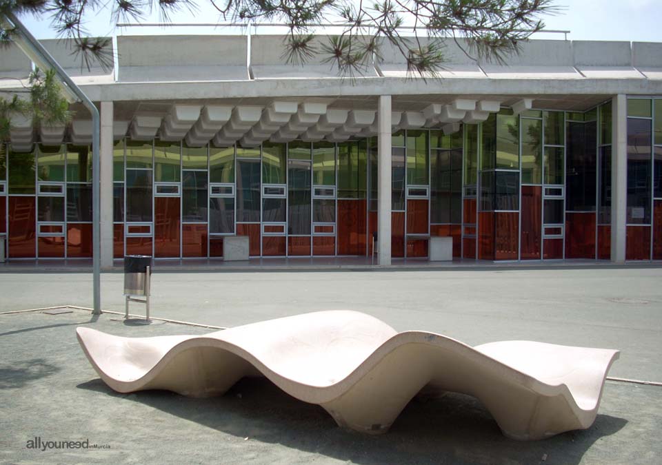 Municipal Torre Pacheco Library