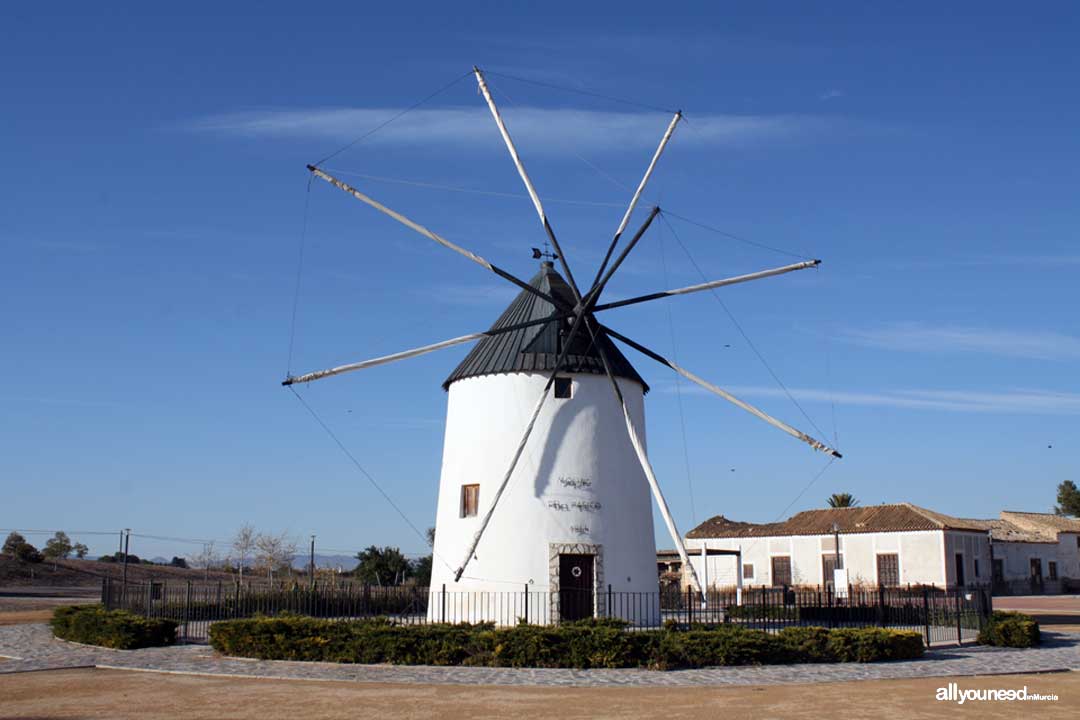 Molino El Pasico en Torre Pacheco