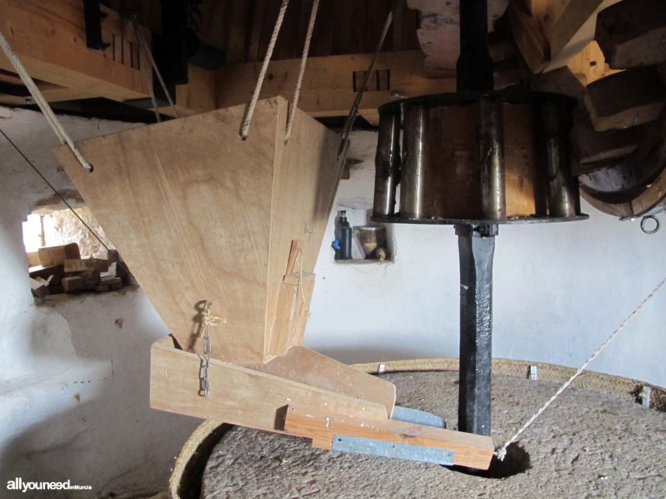 Windmills in Torre Pacheco - Molino del Pasico