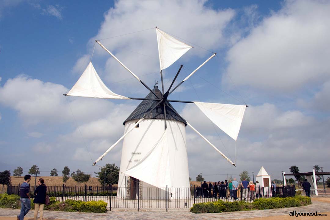 Windmills in Torre Pacheco - Molino del Pasico