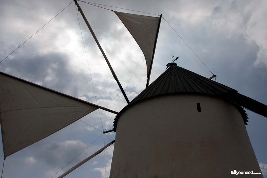 Molino El Pasico en Torre Pacheco