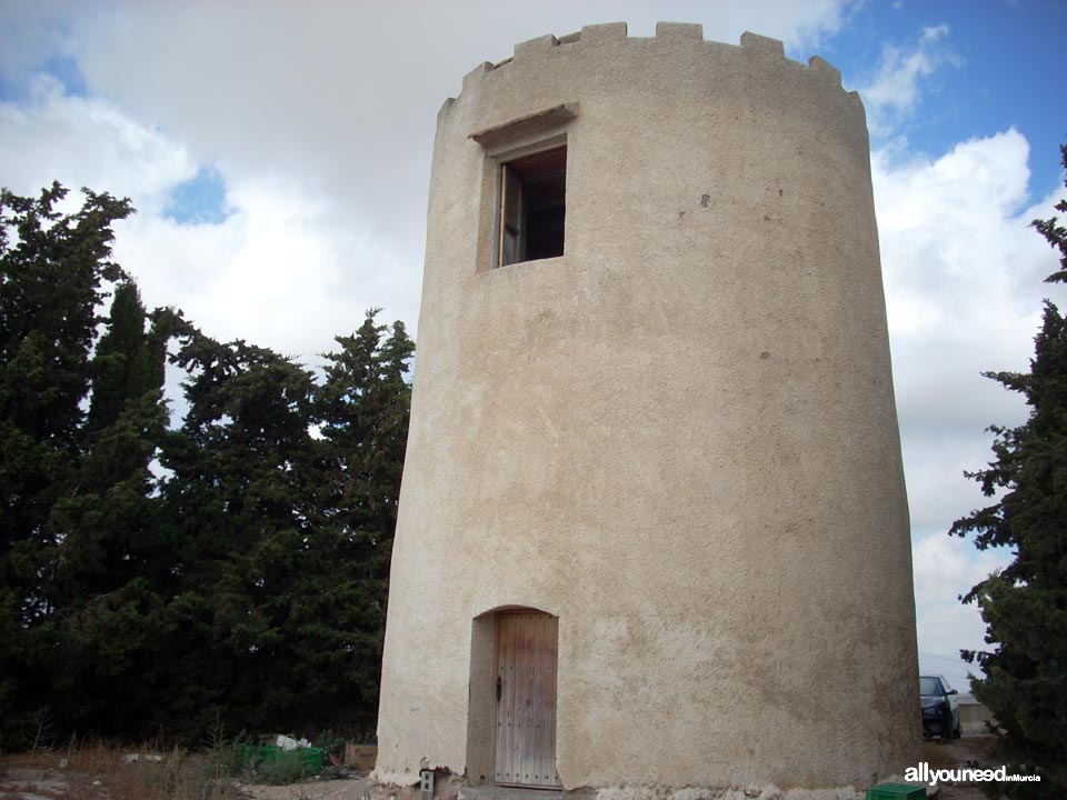 Elisa Windmill