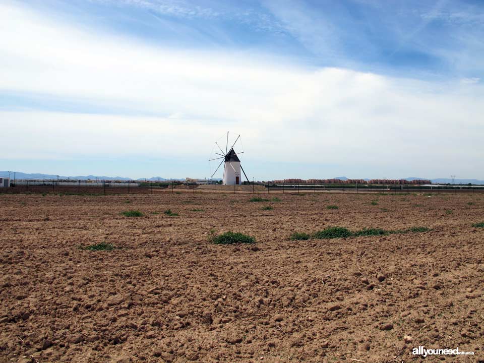 Molino de Los Pereas