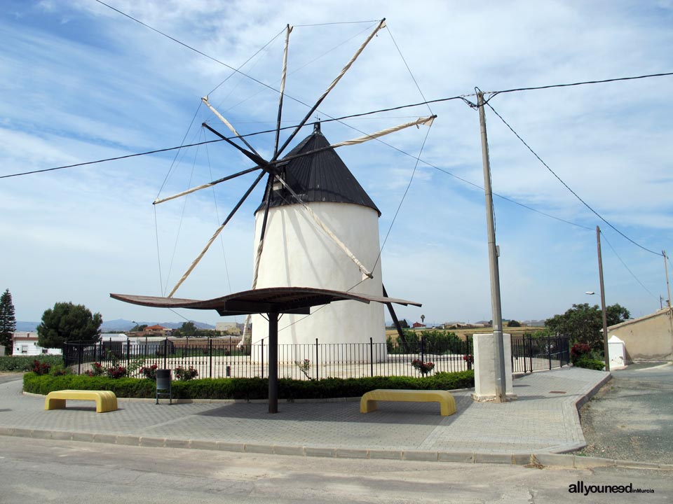 Molino del Tío Paco - Las Cuevas