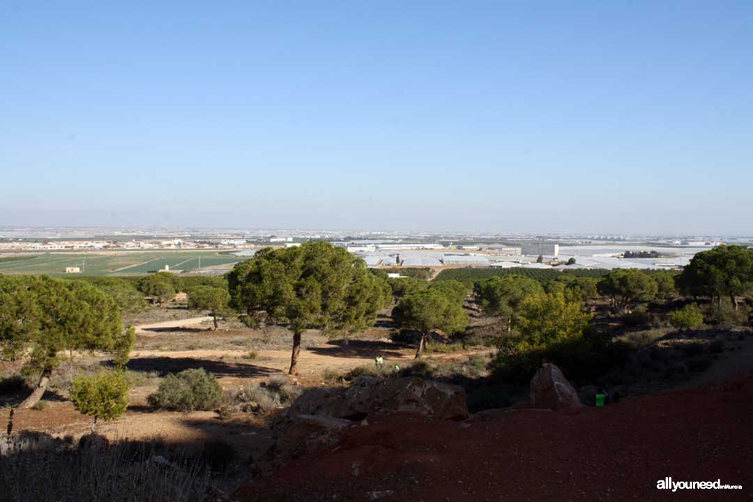 El Cabezo Gordo in Torre Pacheco