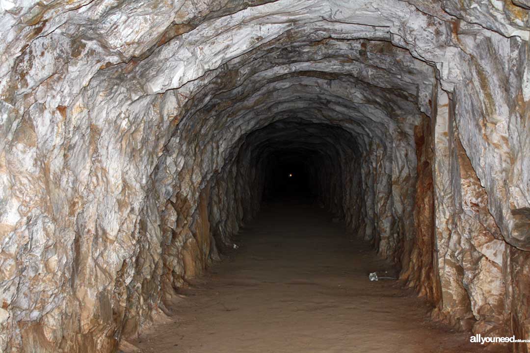 El Cabezo Gordo in Torre Pacheco. Inside the cave