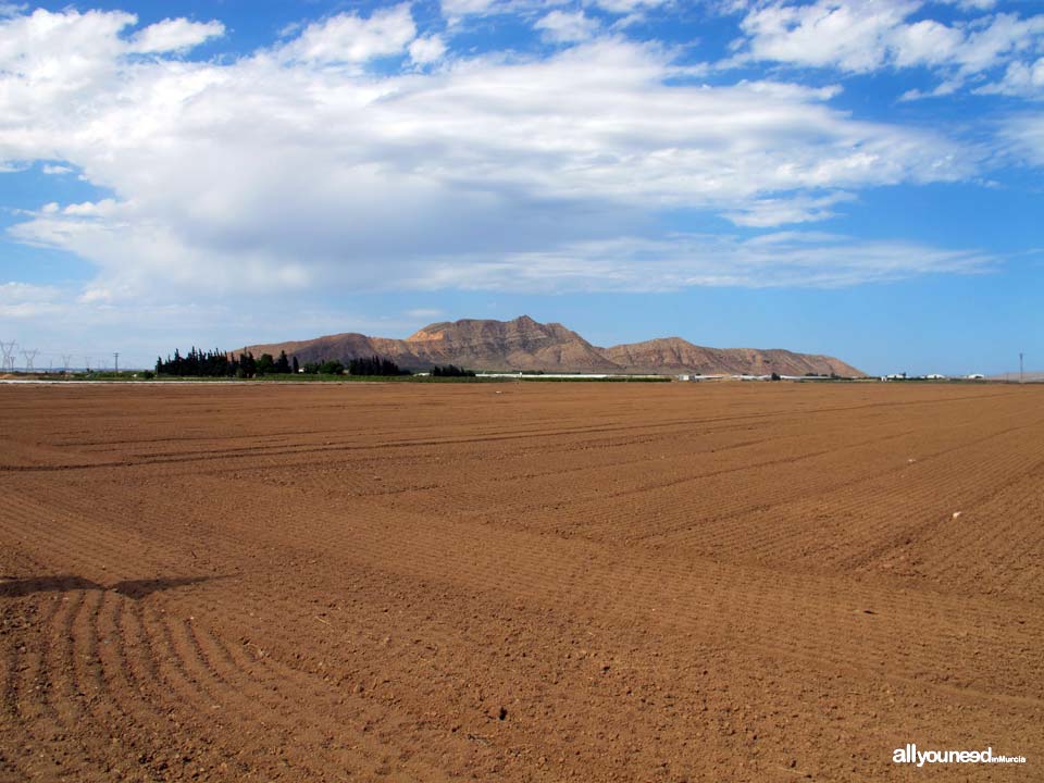 El Cabezo Gordo in Torre Pacheco