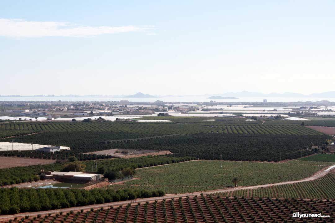 El Cabezo Gordo en Torre Pacheco