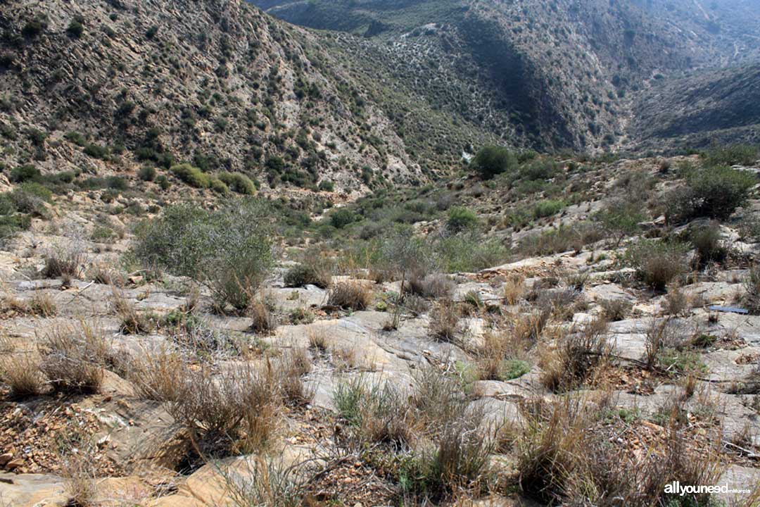 Subida al Cabezo Gordo. Torre Pacheco