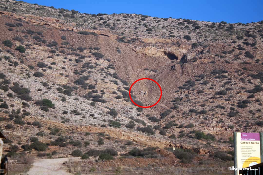 Subida al Cabezo Gordo. Torre Pacheco. Acceso túnel