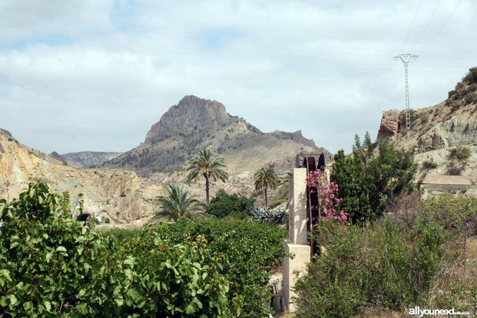 The Treadmill of Villar de Felices