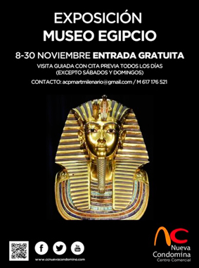 Egyptian Museum Exhibition