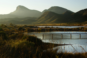 1st Salty Mar Menor Landscapes