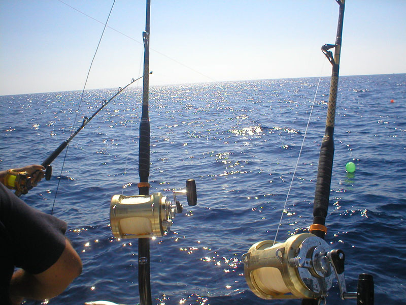 Sea Sport Fishing