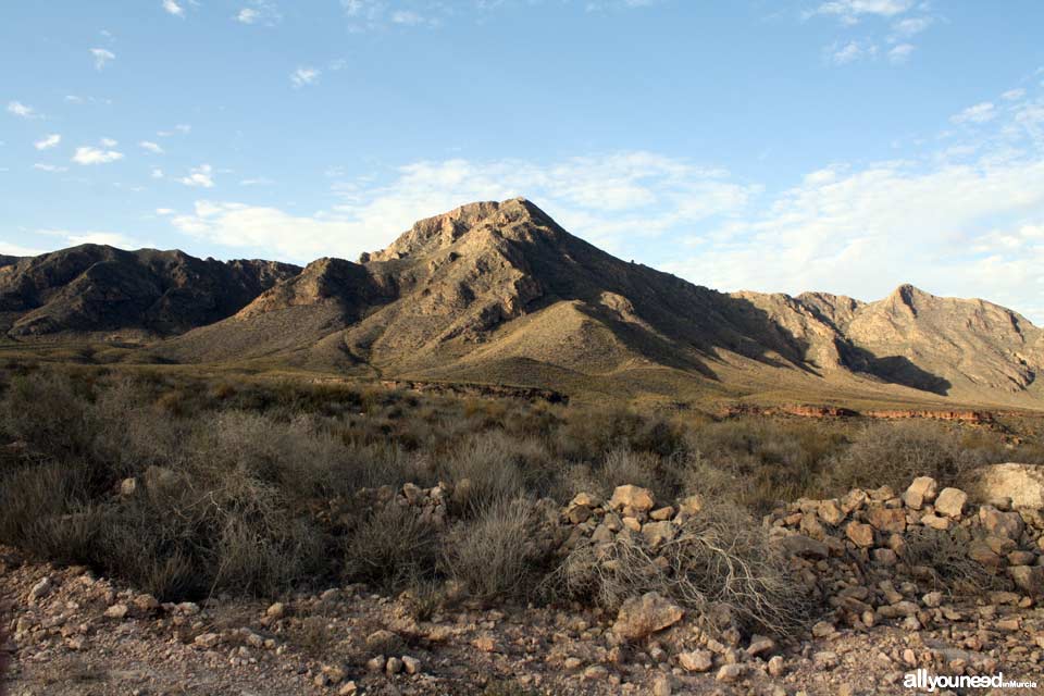 Sierra de las Moreras en Mazarrón