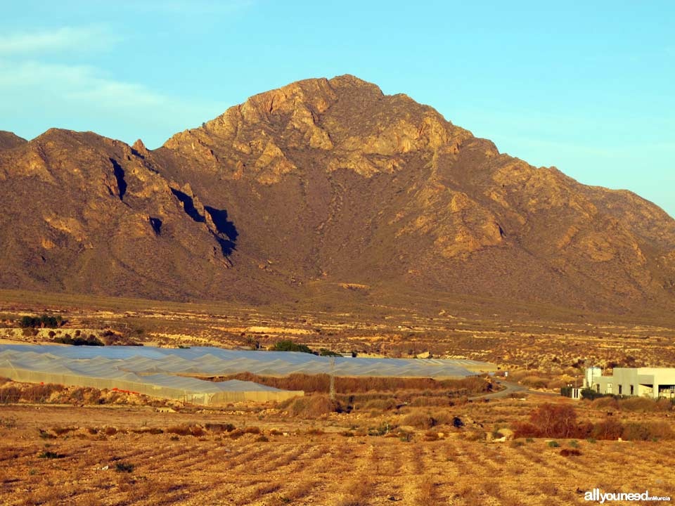 Sierra de las Moreras en Mazarrón