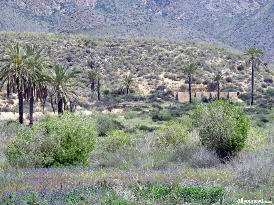 Sierra de las Moreras en Mazarrón