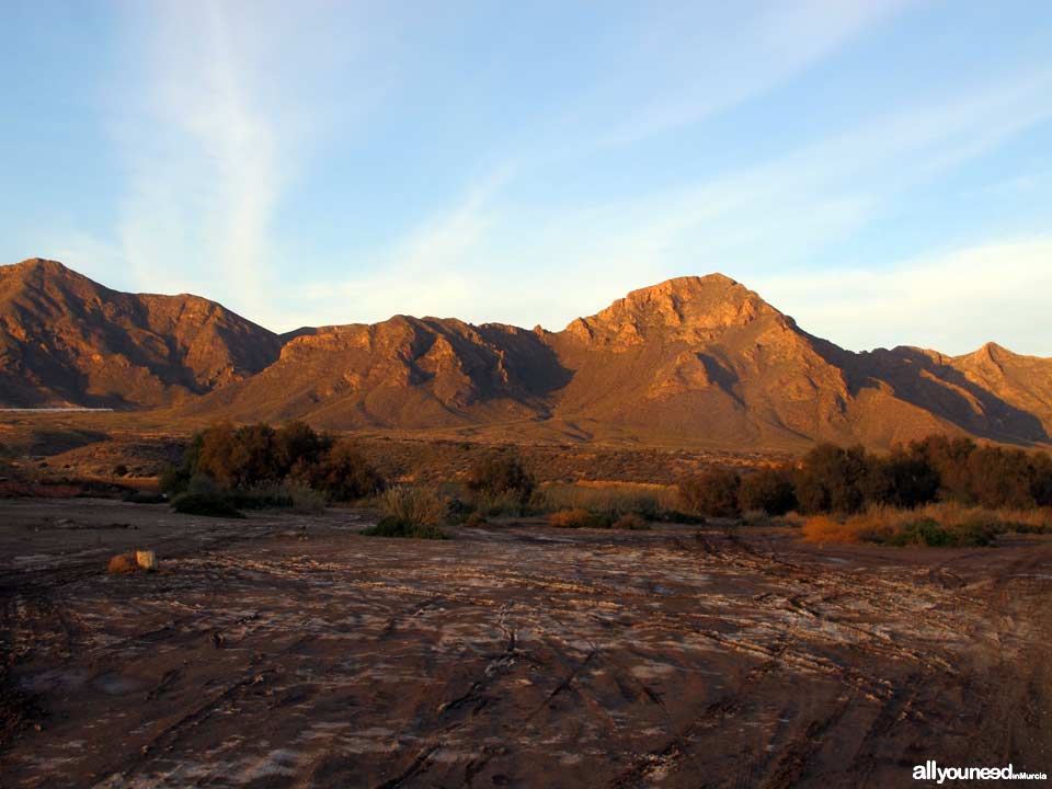 Sierra de las Moreras en Mazarrón