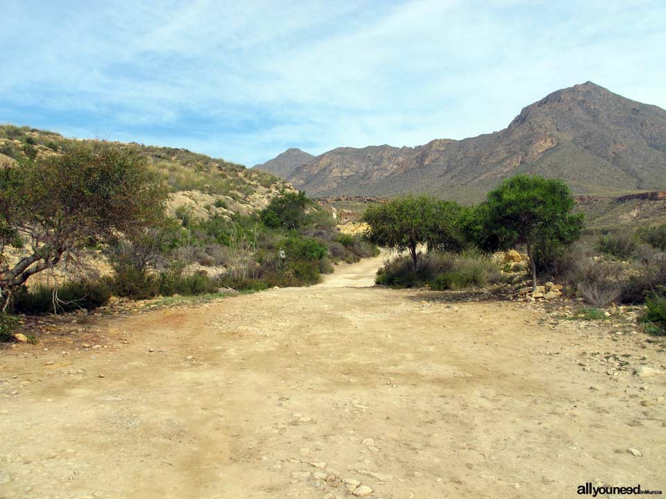 Sierra de las Moreras en Mazarrón